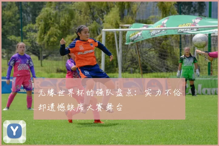 无缘世界杯的强队盘点：实力不俗却遗憾缺席大赛舞台