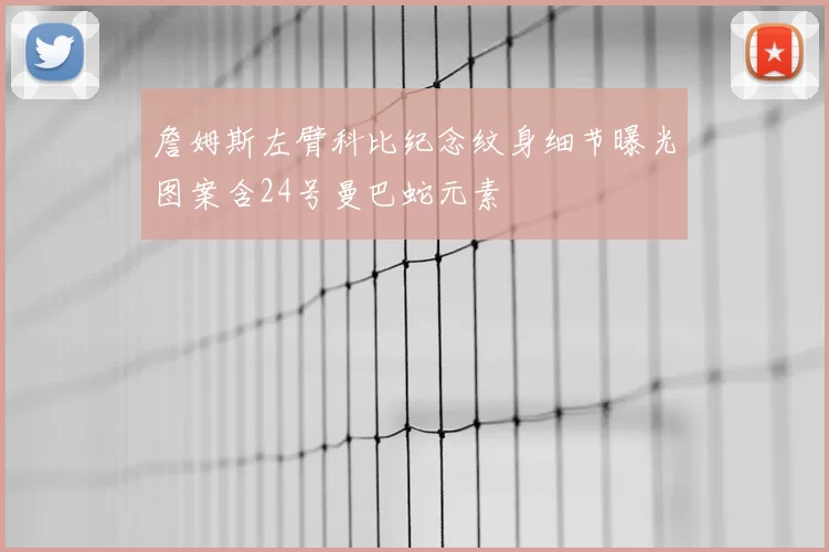 詹姆斯左臂科比纪念纹身细节曝光图案含24号曼巴蛇元素