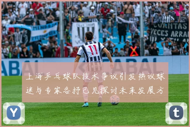 上海乒乓球队技术争议引发热议球迷与专家各抒己见探讨未来发展方向