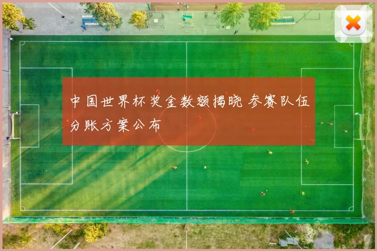 中国世界杯奖金数额揭晓 参赛队伍分账方案公布