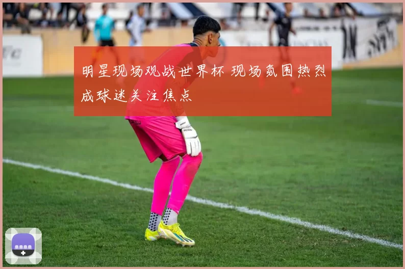 明星现场观战世界杯 现场氛围热烈成球迷关注焦点