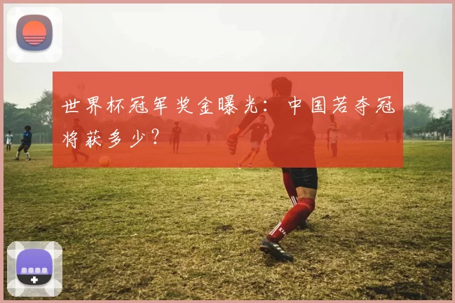 世界杯冠军奖金曝光:中国若夺冠将获多少?