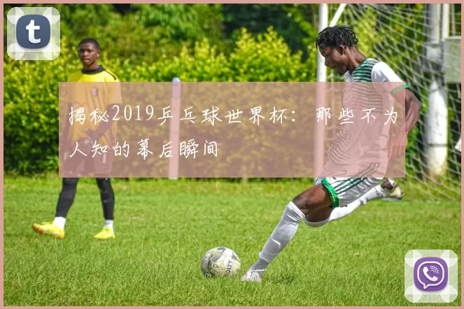 揭秘2019乒乓球世界杯：那些不为人知的幕后瞬间