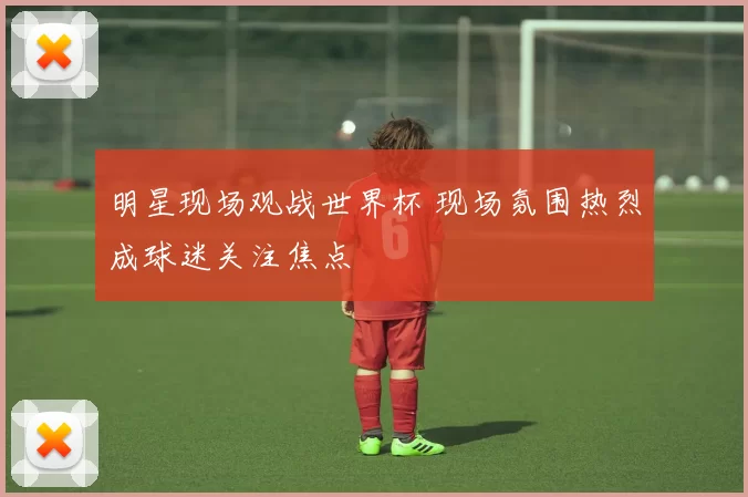 明星现场观战世界杯 现场氛围热烈成球迷关注焦点