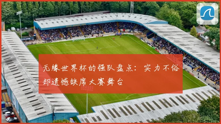 无缘世界杯的强队盘点:实力不俗却遗憾缺席大赛舞台