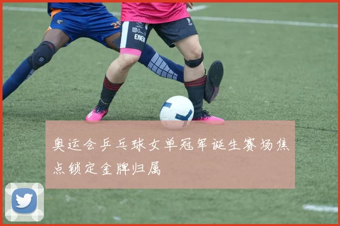 奥运会乒乓球女单冠军诞生赛场焦点锁定金牌归属