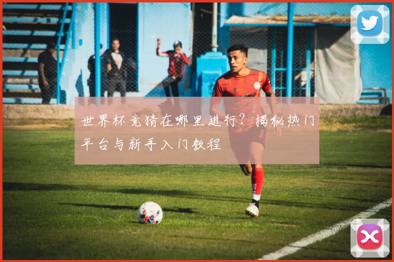 世界杯竞猜在哪里进行?揭秘热门平台与新手入门教程