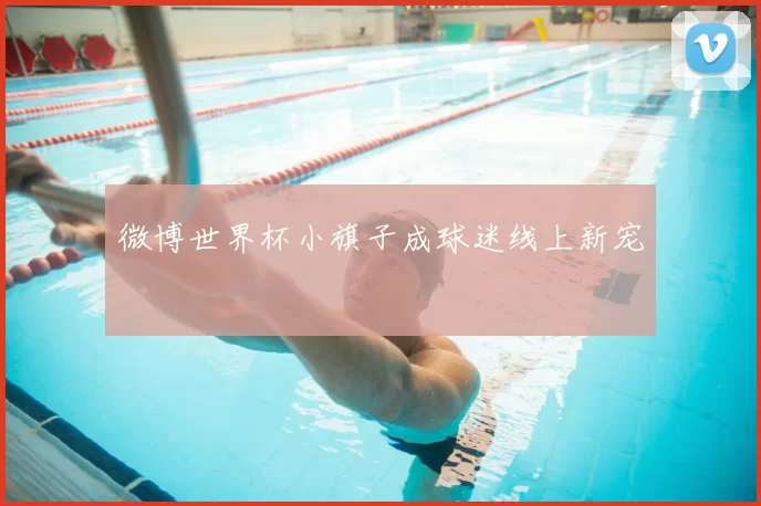 微博世界杯小旗子成球迷线上新宠