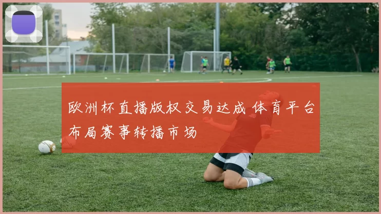 欧洲杯直播版权交易达成 体育平台布局赛事转播市场