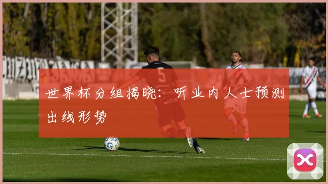 世界杯分组揭晓:听业内人士预测出线形势