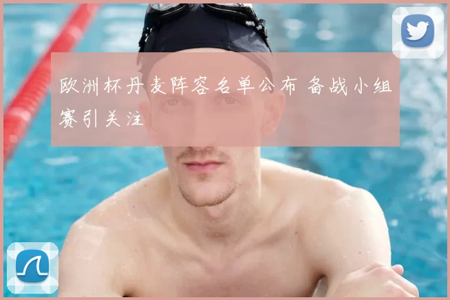 欧洲杯丹麦阵容名单公布 备战小组赛引关注