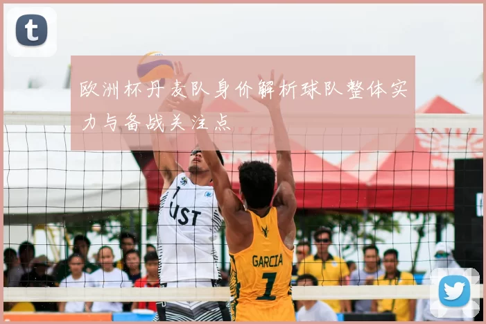 欧洲杯丹麦队身价解析球队整体实力与备战关注点