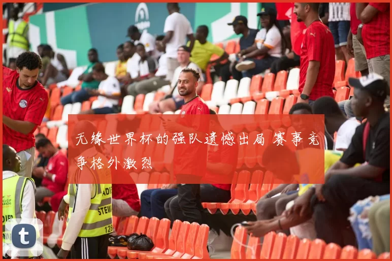 无缘世界杯的强队遗憾出局 赛事竞争格外激烈