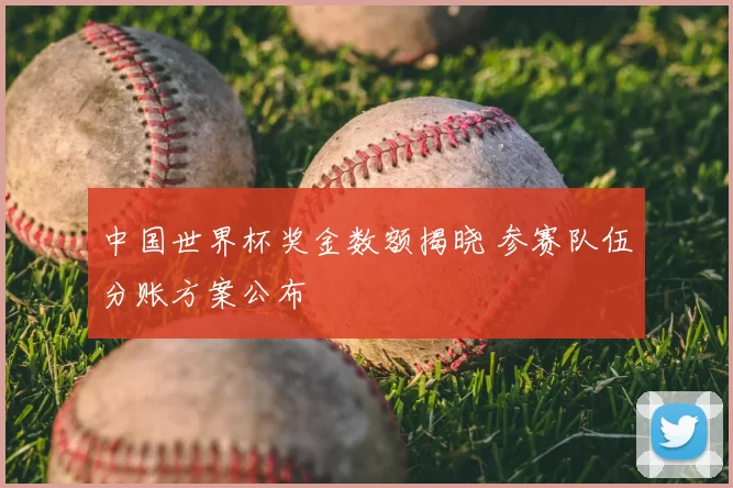 中国世界杯奖金数额揭晓 参赛队伍分账方案公布